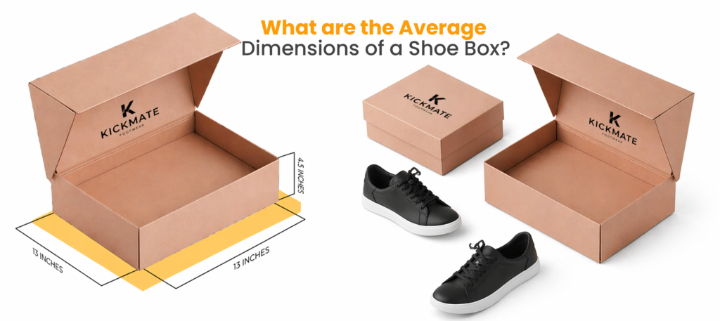 Average Dimensions of a Shoe Box