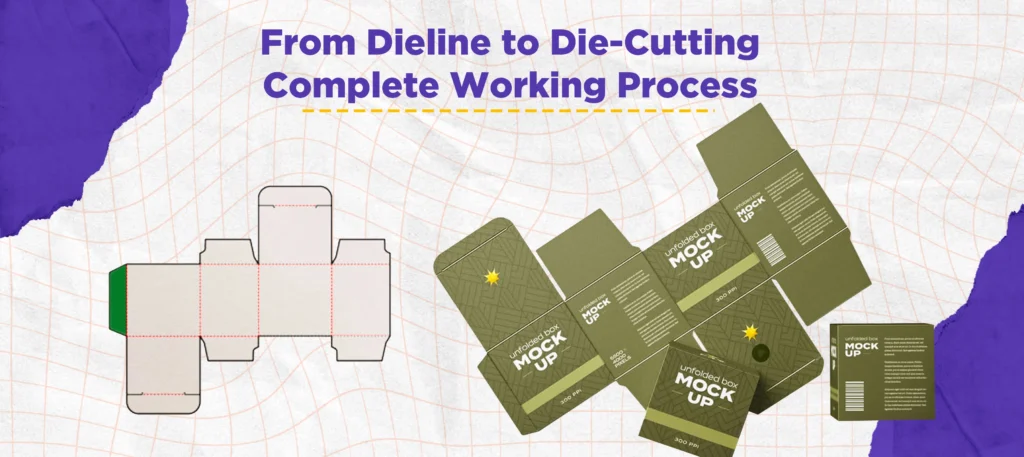 From Dieline to Die Cutting Complete Working Process