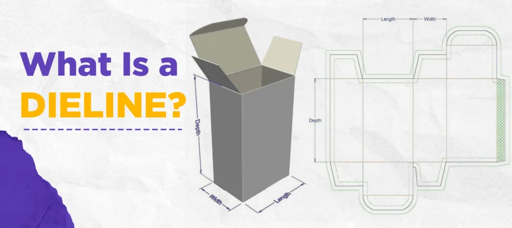 What Is a Dieline