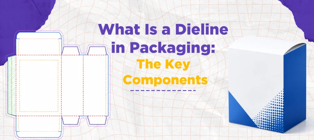 What Is a Dieline in Packaging The Key Components