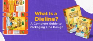What Is a Die line? A Complete Guide to Packaging Line Design