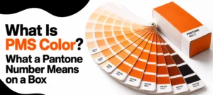 What Is PMS Color? What a Pantone Number Means on a Box