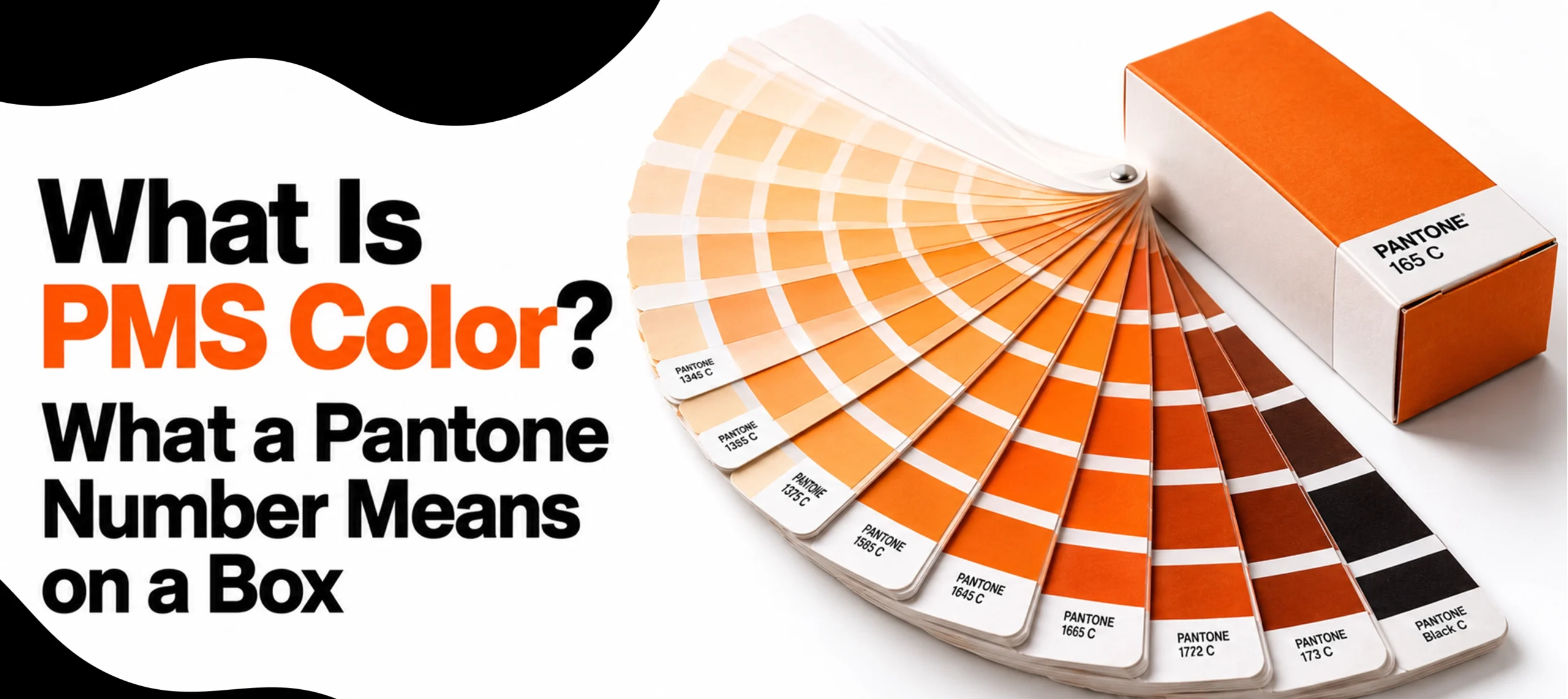 What Is PMS Color? What a Pantone Number Means on a Box